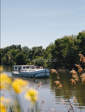 Dpt Saône et Loire (71), à vendre Proche de Chalon-Sur-Saône rare Terrain au bord de Saône de 11 252 m²