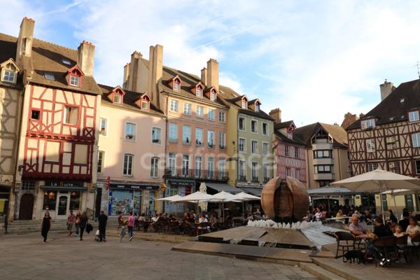 Dpt Saône et Loire (71), à vendre Proche de Chalon-Sur-Saône rare Terrain au bord de Saône de 11 252 m²