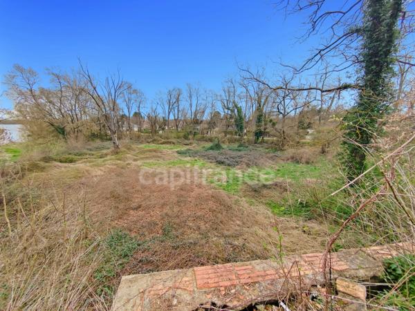 Dpt Saône et Loire (71), à vendre Proche de Chalon-Sur-Saône rare Terrain au bord de Saône de 11 252 m²