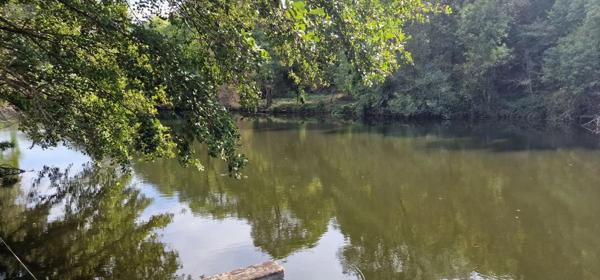 Achat - Terrain de loisirs, bois, étangs | Terrain de loisirs Thouars 79100 42 m 2 517 m 2