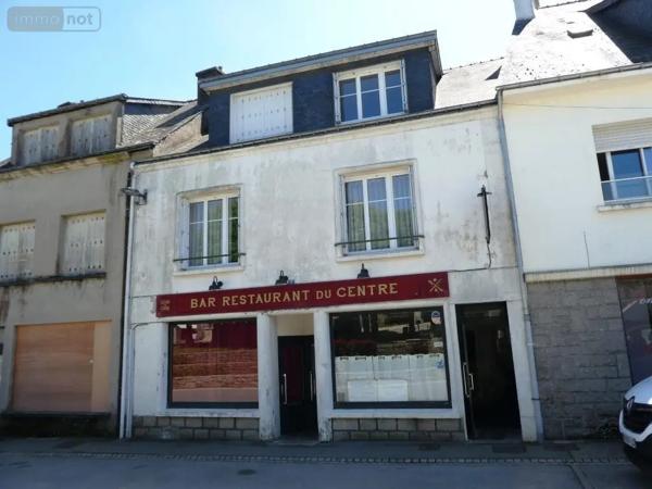 Achat - Immeuble Bubry 56310 400 m 2 483 m 2