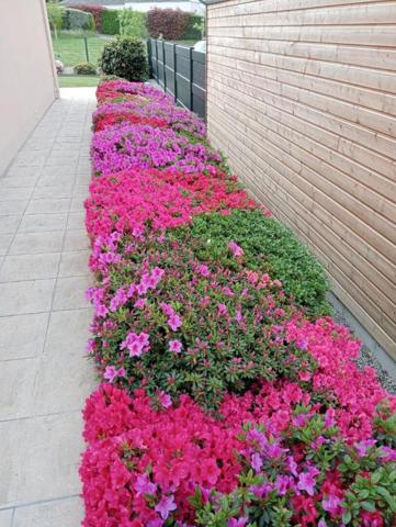 Maison  6 pièce(s) 157 m2 PLOERMEL