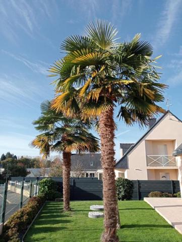 Maison  6 pièce(s) 157 m2 PLOERMEL