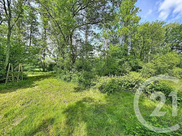 Terrain à vendre  35560 m 2   CLEMONT  - 18