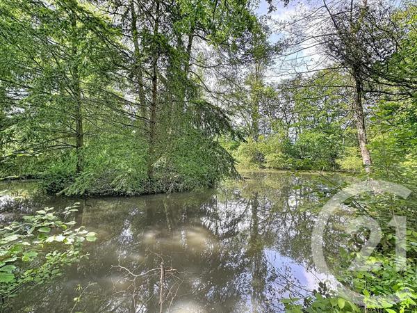 Terrain à vendre  35560 m 2   CLEMONT  - 18