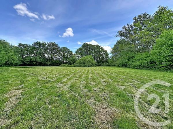 Terrain à vendre  35560 m 2   CLEMONT  - 18