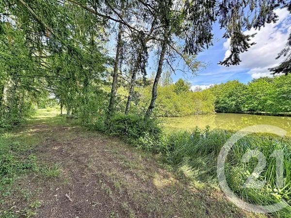 Terrain à vendre  35560 m 2   CLEMONT  - 18