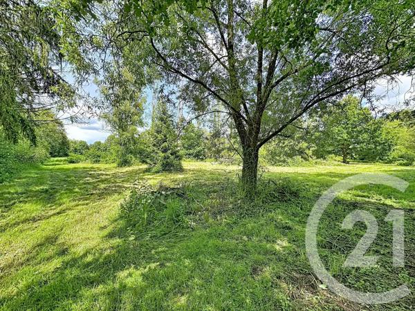 Terrain à vendre  35560 m 2   CLEMONT  - 18