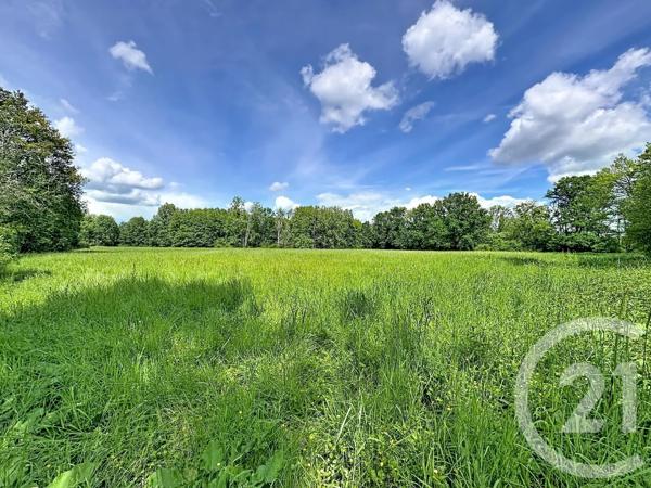 Terrain à vendre  35560 m 2   CLEMONT  - 18