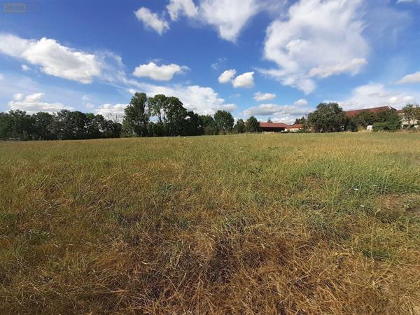 Terrain à Batir à vendre à Cussangy dans l'Aube (10210), ref : 10063/1159