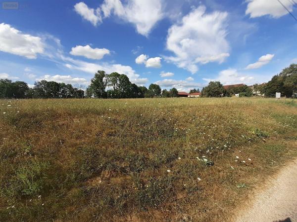 Terrain à Batir à vendre à Cussangy dans l'Aube (10210), ref : 10063/1159