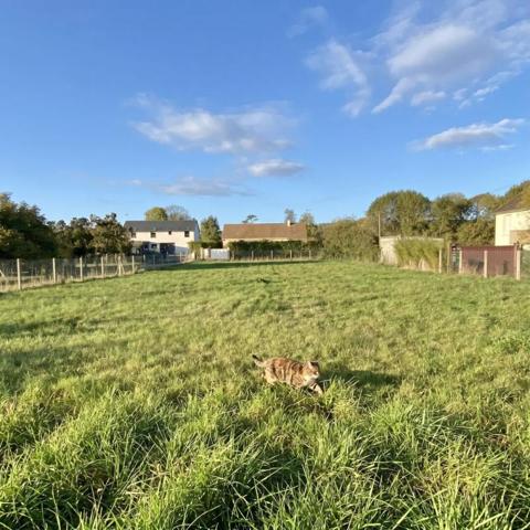 TERRAIN CONSTRUCTIBLE DE 431 M2 - PACY SUR EURE CENTRE - 72000  HAI