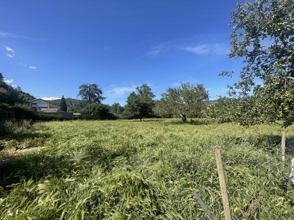 Propriété de deux maisons individuelles sur un grand terrain