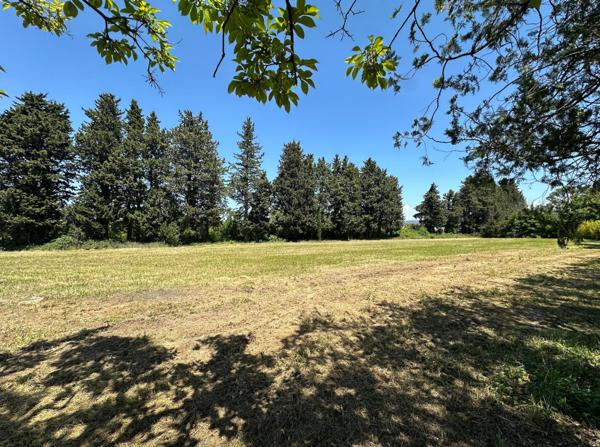 Mas à rénover à l'Isle-sur-la-Sorgue