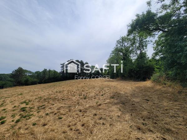 Terrain à bâtir de 12 037 m² avec vue panoramique – Salives