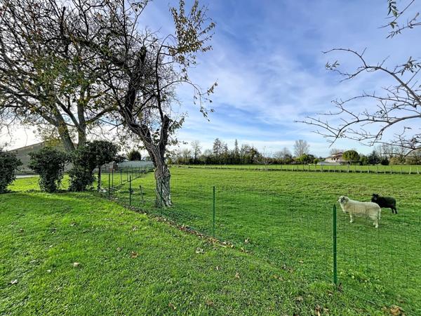 Maison lumineuse de plain pied - 60m2 / 2 chambres - vendue louée
