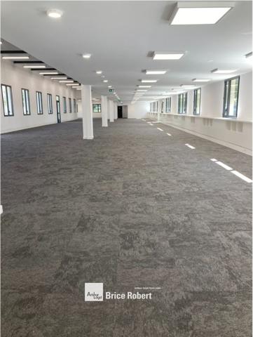 Location bureaux Vénissieux espaces indépendants dans parc arboré