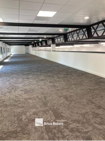 Location bureaux Vénissieux espaces indépendants dans parc arboré