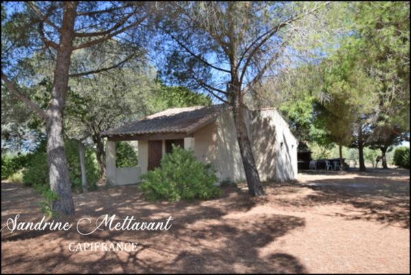 Terrain à vendre SAINT THIBERY (34)