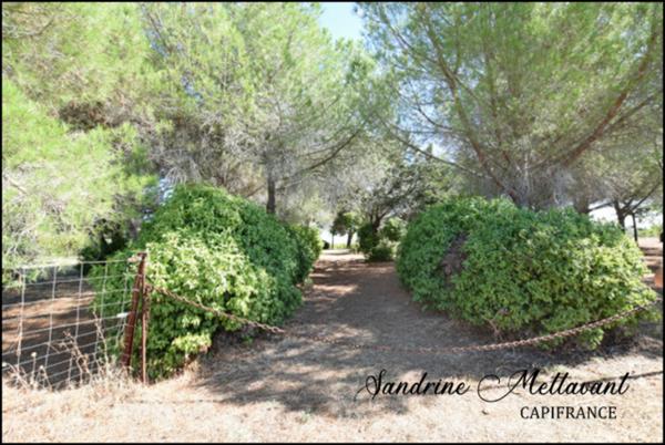 Terrain à vendre SAINT THIBERY (34)