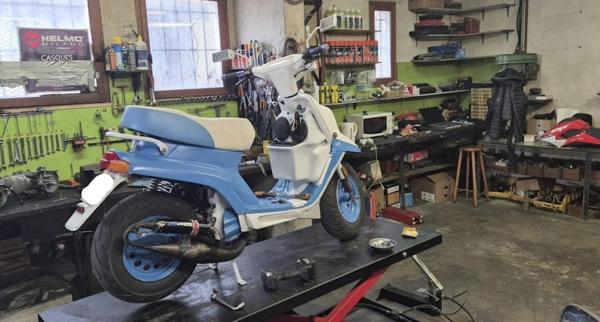 EN EXCLUSIVITÉ – À Vendre Local commercial 433 m²