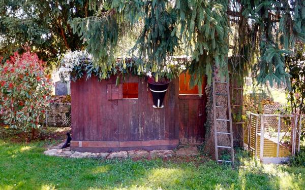 Maison à vendre    5 pièces • 183,19 m2 Saint-Désert