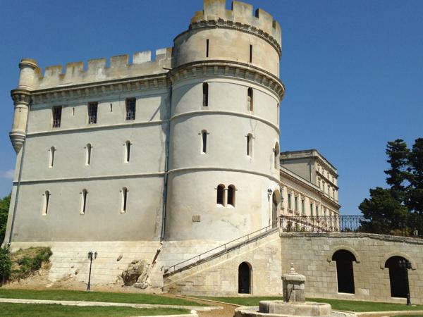 Vente Château Fontvieille 30 Pièces 1400 m²