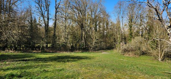 Maison Saint Remy En Bouzemont Saint Genest Et Isson 10 pièce(s) 300 m2