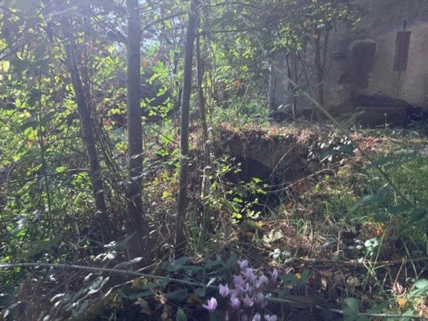 PROPRIETE D EXEPTION AVEC MOULIN A EAU, MAISON, BOURRINE ET GRANGE AVEC 6 HECTARES