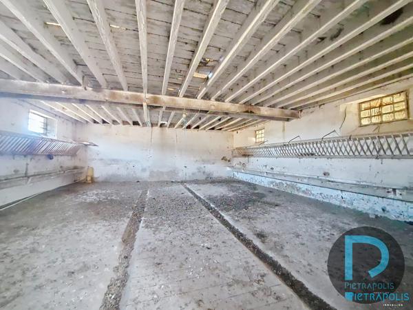 Ancien corps de ferme avec dépendances 4,5 ha 01390 ST MARCEL