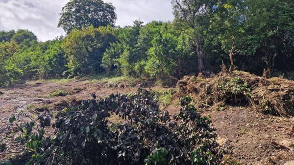 Terrain constructible plat 97139 Les Abymes