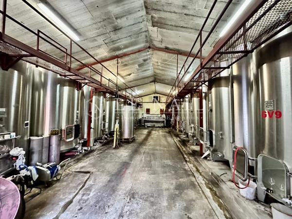 RARE DOMAINE VITICOLE— APPELLATION PECHARMANT