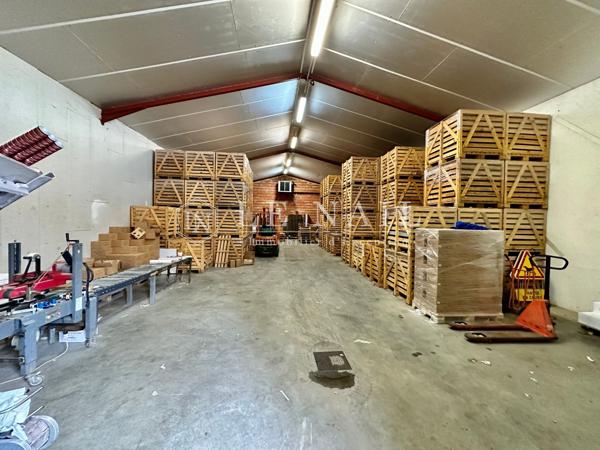 RARE DOMAINE VITICOLE— APPELLATION PECHARMANT