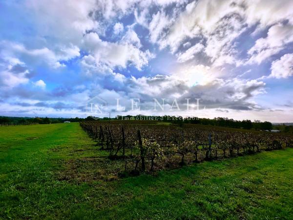 RARE DOMAINE VITICOLE— APPELLATION PECHARMANT