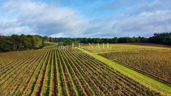 RARE DOMAINE VITICOLE— APPELLATION PECHARMANT
