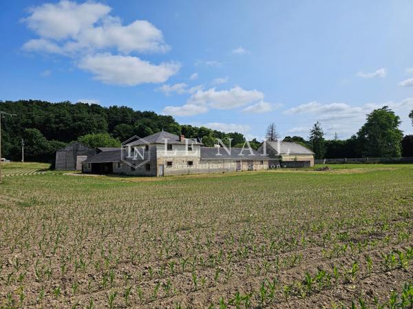Château XIXème et son domaine de 291 hectares en Vallée de la Loire angevine