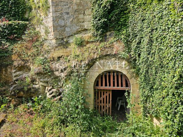 Château XIXème et son domaine de 291 hectares en Vallée de la Loire angevine