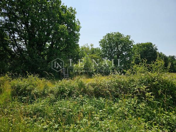 Château XIXème et son domaine de 291 hectares en Vallée de la Loire angevine