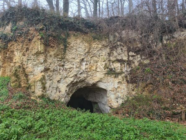 Château XIXème et son domaine de 291 hectares en Vallée de la Loire angevine
