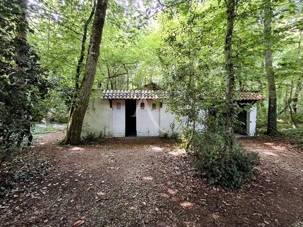 Maison Saint Georges Des Coteaux 130 m2