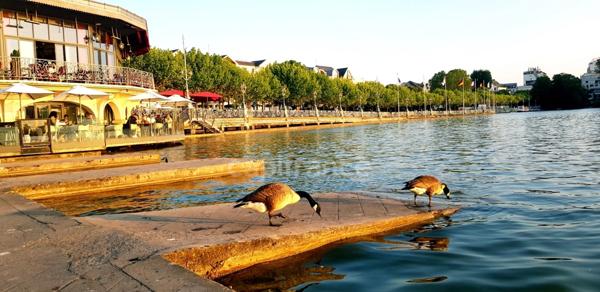 A vendre-Bel appartement F4 DE 79M2- Centre ville d'ENGHIEN LES BAINS (95)