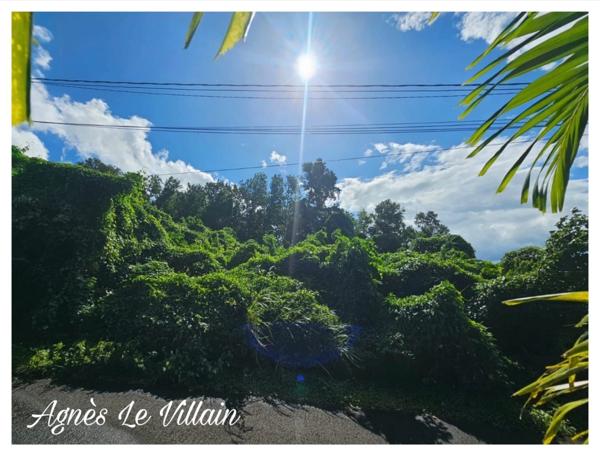 Terrain Boisé de 1 041 m2