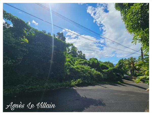 Terrain Boisé de 1 041 m2