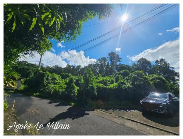 Terrain Boisé de 1 041 m2