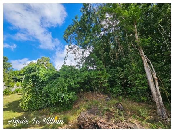 Terrain Boisé de 1 041 m2