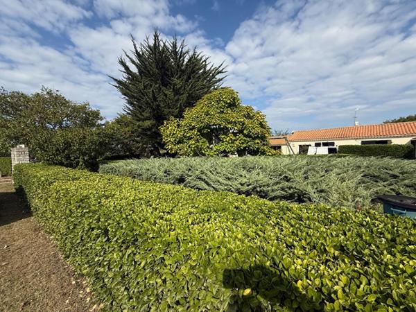 17190 - " Ancienne ferme" - Ensemble Immobilier 10 pièce(s) 147 m2 - LILEAU -