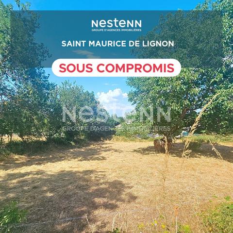 SOUS COMPROMIS Terrain Saint Maurice De Lignon dans hameau proche centre