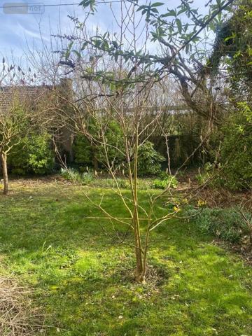 Achat - Maison | Maison de ville Saint-Dizier 52100 4 pièces 90 m 2 820 m 2