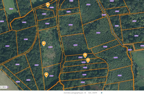 Terrain 32804 m2