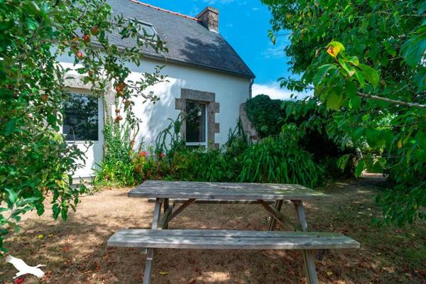 Maison 555 116 € Plonéour-Lanvern 6 p 175 m² DPE C